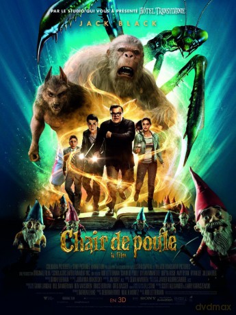 Chair De Poule [DVD]