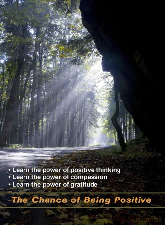 Chance Of Being Positive - Learn The Power [DVD]