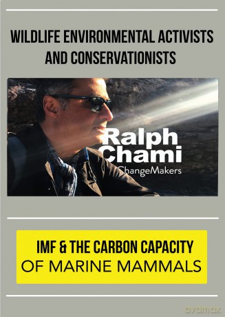 Changemakers Ralph Chami [DVD]