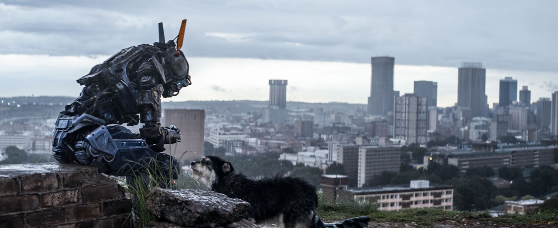 Chappie [DVD]