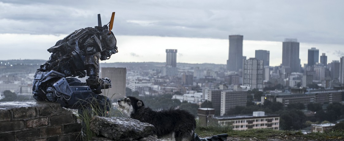 Chappie [DVD]