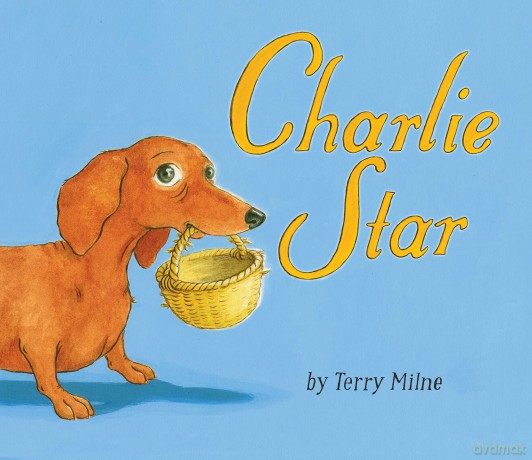 Charlie Star [KSIĄŻKA]