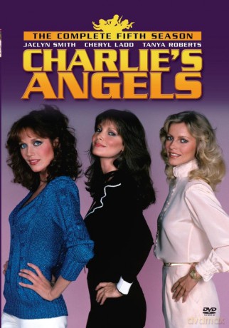 Charlie's Angels: The Complete Fifth Season [DVD]