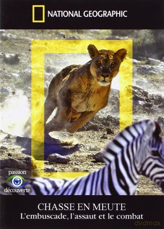 Chasse En Meute - L'embuscade, L'assaut Et Le Combat [DVD]