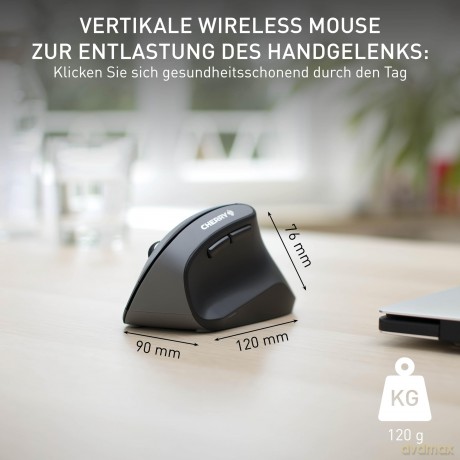 CHERRY Mouse MW 4500
