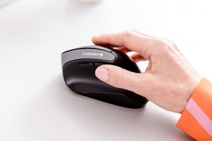 CHERRY Mouse MW 4500
