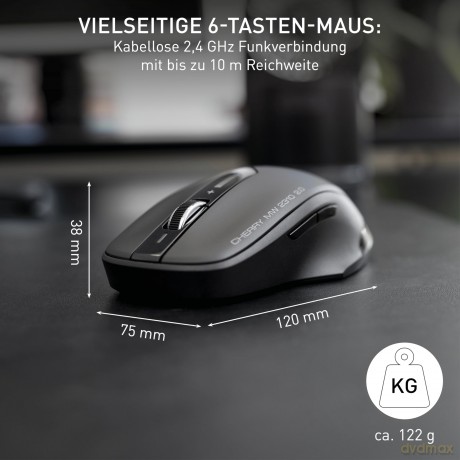 CHERRY MW 2310 2.0 Maus kabellos