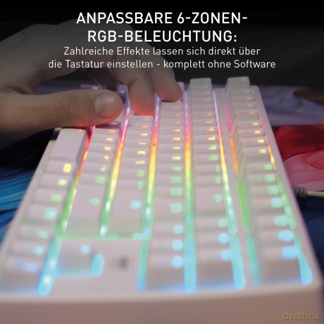 CHERRY XTRFY K4V2 TKL keyboard, white
