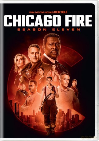Chicago Fire: Season 11 [4DVD]