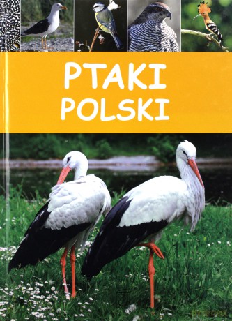 Ptaki Polski [KSIĄŻKA]