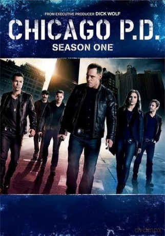 Chicago Pd: Season One [3DVD]