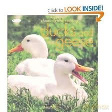Choosing And Keeping Ducks And Geese [KSIĄŻKA]