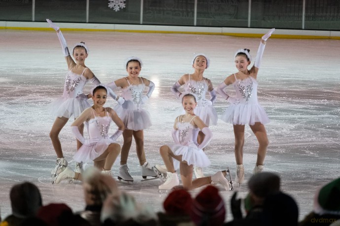 Christmas on Ice [DVD]
