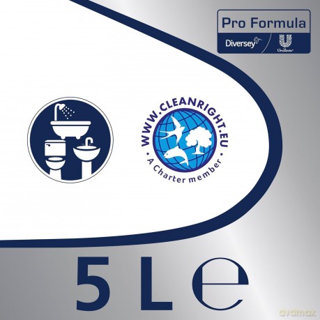 Cif Prof.Badreiniger 2x 5L