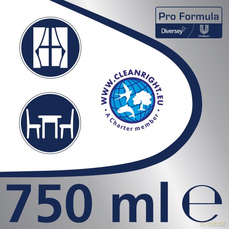 Cif Prof.Fenst+Glasr.750ml