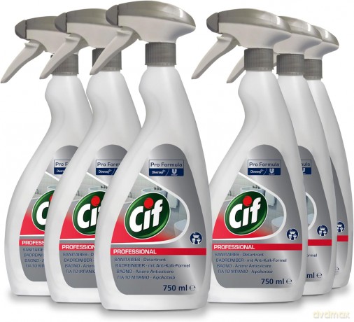 Cif Profess.Badrg 2in1 750ml