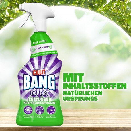CILLIT BANG EXPERT Kraftreiniger 0,75 l