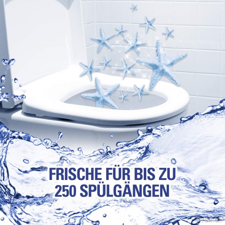 CillitB. BlueWave6 DuoOzeanFr.