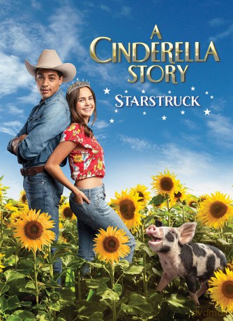 Cinderella Story: Starstruck [DVD]