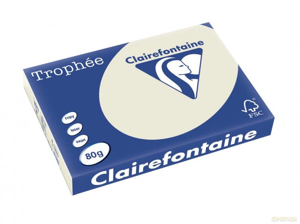 Clairefontaine: Clairefontaine Kopierpapier TrophŠe grau