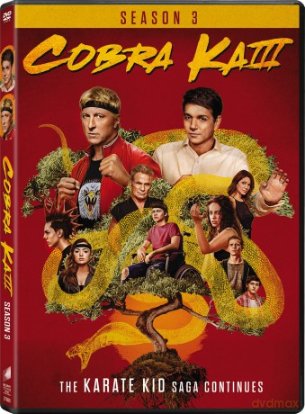 Cobra Kai: Season 3 [2DVD]