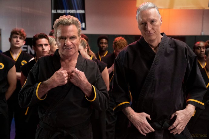 Cobra Kai: Season 4 [2DVD]