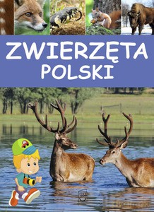 Zwierzęta Polski [KSIĄŻKA]
