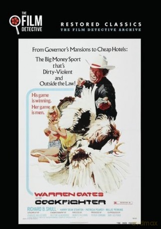 Cockfighter [DVD]