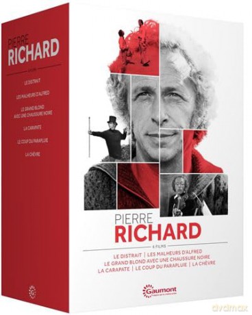 Coffret 6dvd Pierre Richard [DVD]