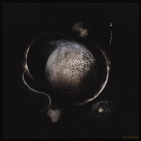 Enthroned: Cold Black Suns [KASETA]