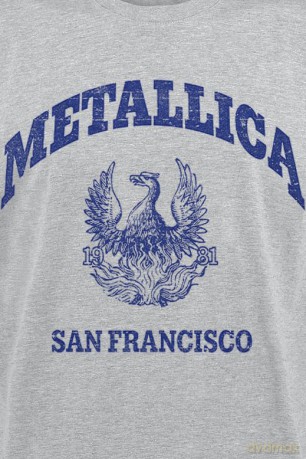 Metallica: College Crest