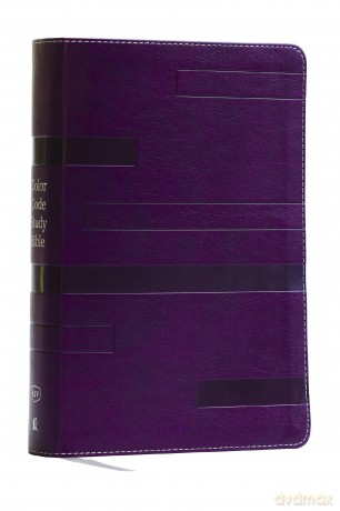 Color Code Study Bible Re Hb [KSIĄŻKA]