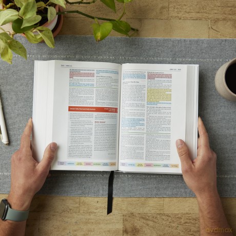 Color Code Study Bible Re Hb [KSIĄŻKA]