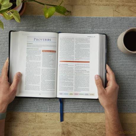 Color Code Study Bible Re Hb [KSIĄŻKA]