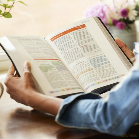Color Code Study Bible Re Hb [KSIĄŻKA]