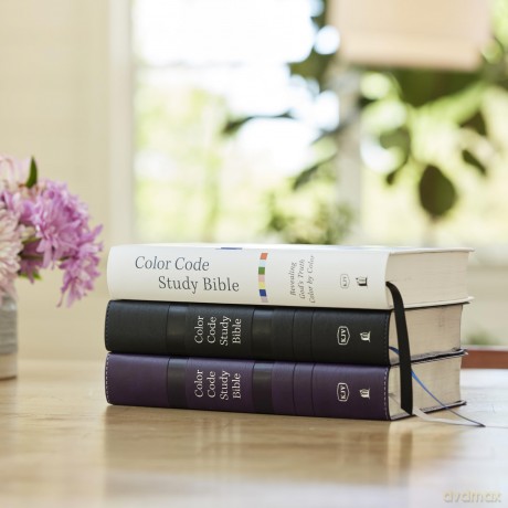 Color Code Study Bible Re Hb [KSIĄŻKA]