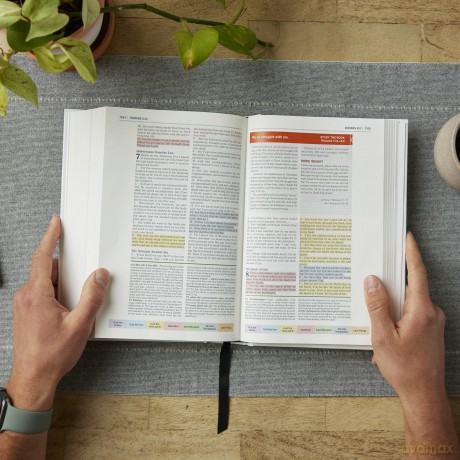 Color Code Study Bible Re Hb [KSIĄŻKA]