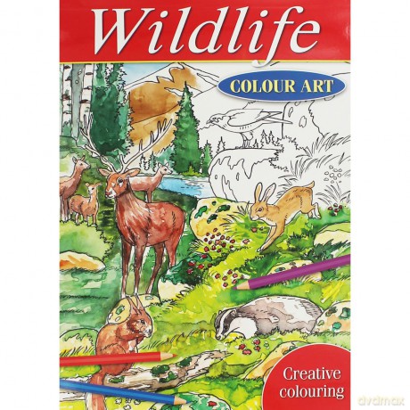 Colour Art Wildlife [KSIĄŻKA]
