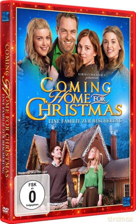 Coming Home for Christmas - Eine Familie zur Bescherung Norman Rockwell präsentiert [DVD]