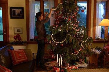 Coming Home for Christmas - Eine Familie zur Bescherung Norman Rockwell präsentiert [DVD]