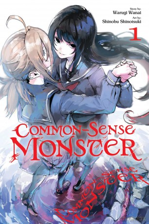 CommonSense Monster Vol. 1 [KSIĄŻKA]