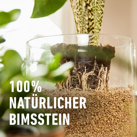 Compo: COMPO BIO GRANUPLANT INDOOR Pflanzgranu