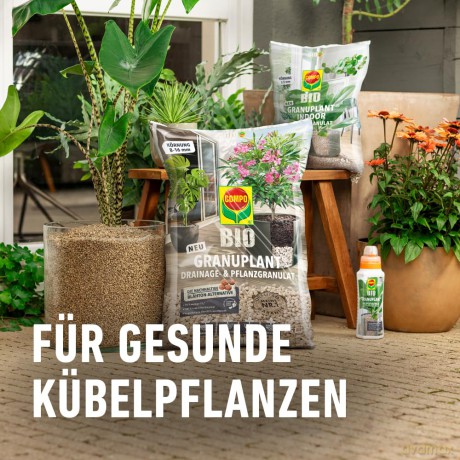 Compo: COMPO BIO GRANUPLANT INDOOR Pflanzgranu