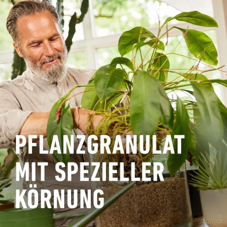 Compo: COMPO BIO GRANUPLANT INDOOR Pflanzgranu