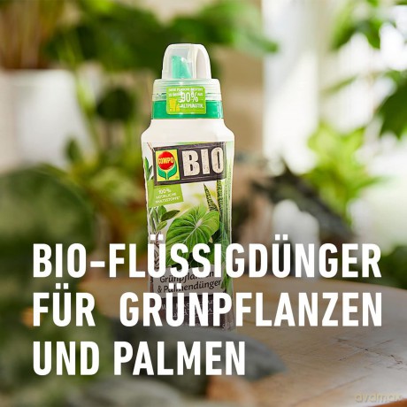 Compo: COMPO BIO Grźnpflanzendźnger 500,0 ml