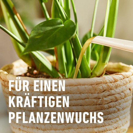 Compo: COMPO BIO Grźnpflanzendźnger 500,0 ml