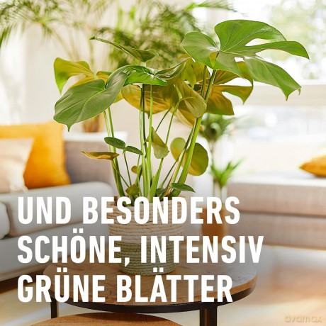 Compo: COMPO BIO Grźnpflanzendźnger 500,0 ml