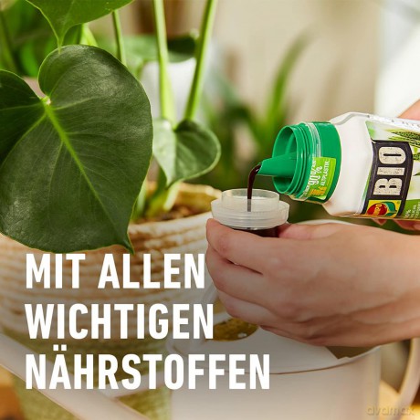 Compo: COMPO BIO Grźnpflanzendźnger 500,0 ml