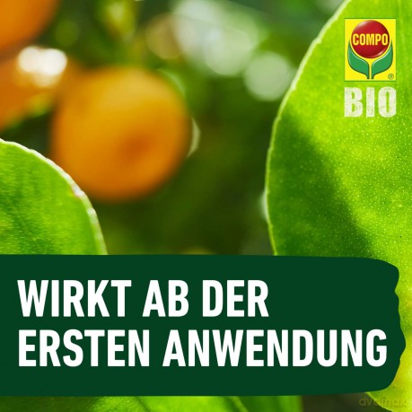 Compo: COMPO BIO Zitrusdźnger 500,0 ml