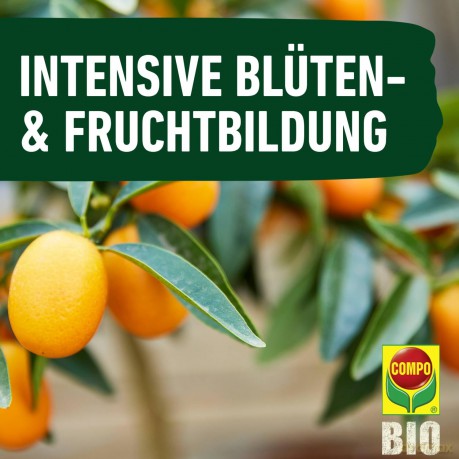 Compo: COMPO BIO Zitrusdźnger 500,0 ml